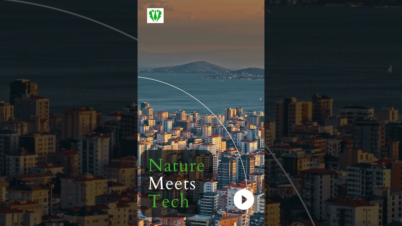 In 2025, Green Technology Will Astonish You 🌱