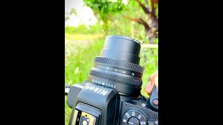 Nikon z50 natural photography with 16-50mm lens !! #photography #shortvideo #ytshorts #nikonz50 Nikon z50 natural photography with 16-50mm lens !! #photography #shortvideo #ytshorts #nikonz50