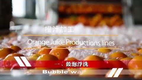 Gofun orange juice processing line/orange juice production plant