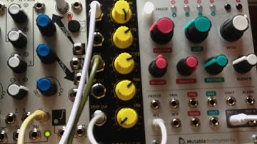 Mutable Instruments  -  Clouds, Meng Qi - Voltage Memory,  Rob Hordijk  -  Benjolin (DIY)