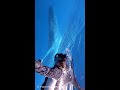 🐳世界最大の動物／シロナガスクジラと一緒に🐋　#Shorts