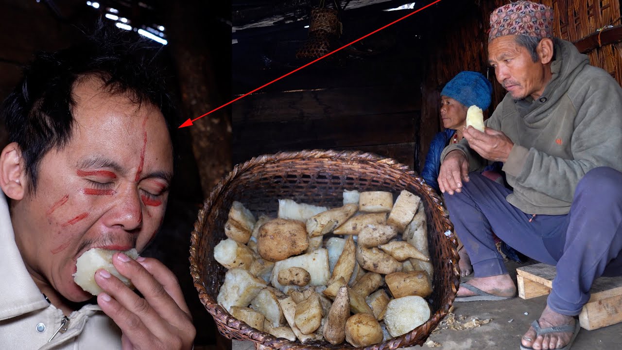 what happen ??? to jungle family || chayote roots recipe in the village || 