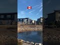 Канада 🇨🇦 Canada #shorts #владимировна #природа