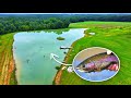 Stocking rainbow trout in the 5 acre pond