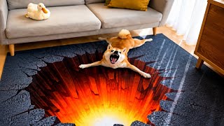 Funniest Animal Moments Caught on Camera 😂 | Animals Doing the Most