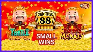 GOLD STAX Turtle Kingdom & Royal Monkey: Small Wins 🐢🐵✨