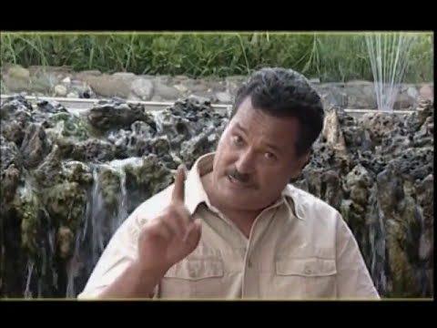 Karim Mosbahi Ezzouadj Erdjaa Les Affaires كريم مصباحي Official Music Video