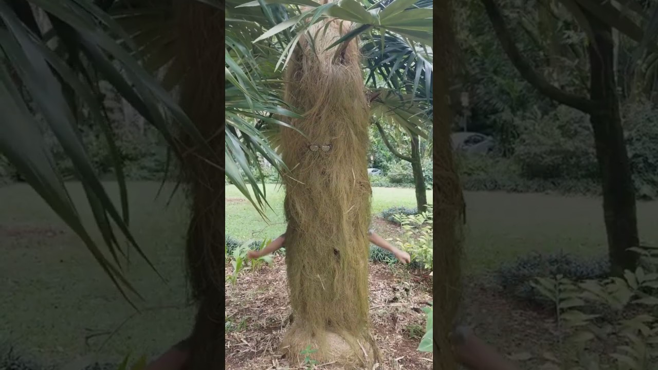 Parts Of A Plant (song) YouTube