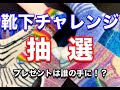 【 抽 選 】靴下チャレンジ抽選！【sheepl】