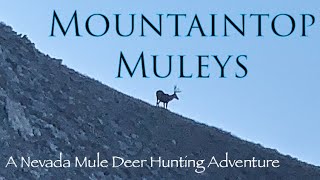 Mountaintop Muleys - Solo Hunting and Exploration of Nevada’s Vast and Rugged High Desert