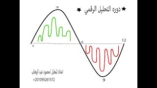 طريقه رقميه للتجاره الصحيحه (اداره راس المال)