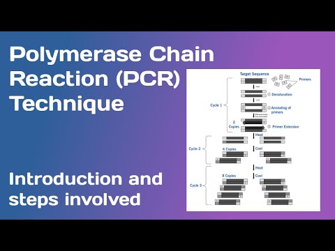 polymerase-chain-reaction-(pcr):--introduction-and-steps-involved