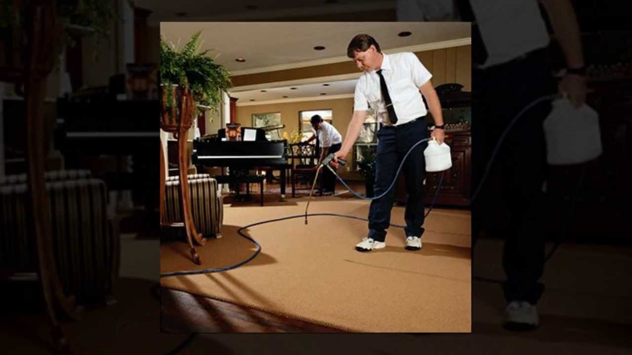 Pest Control Brisbane | Cheap Pest Control in Brisbane