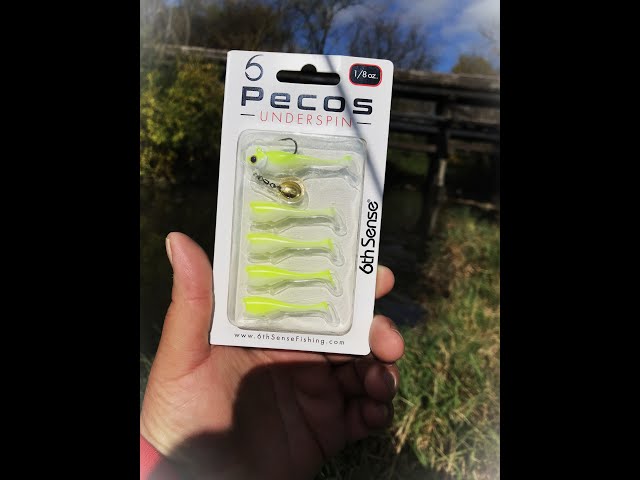 Fishing With NEW 6th sense Pecos 