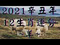 【古柏論命-張古柏】2021年辛丑年12生肖運勢 – 羊