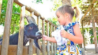 Old MacDonald had a farm - Nursery Rhymes funny song for kids by Olivia Vlog
