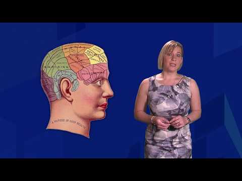 How the brain processes language - Professor Ina Bornkessel-Schlesewsky