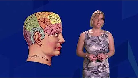 How the brain processes language - Professor Ina Bornkessel-Schlesewsky - DayDayNews