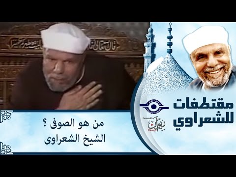 فيديو: هل للسترات الصوفية سحاب؟
