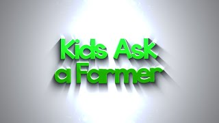 Kids Ask...How Much Do Cows Weigh?