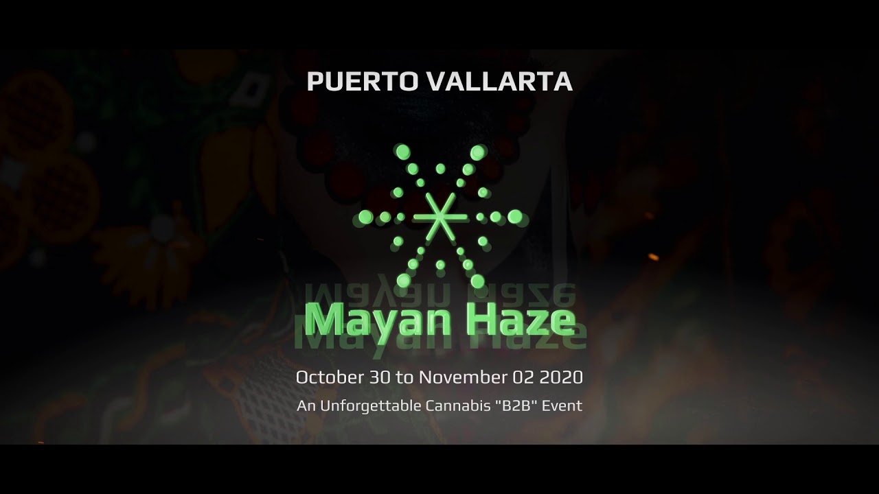 Mayan Haze Spot 2
