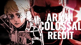 Reedit Armin  Colossal  Anirap