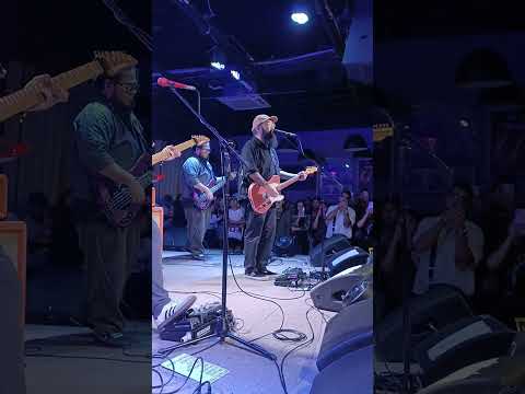 I Belong to the Zoo - Balang Araw (Live at 12 Monkeys)
