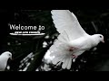 Pentecost // Pastor Sanjay