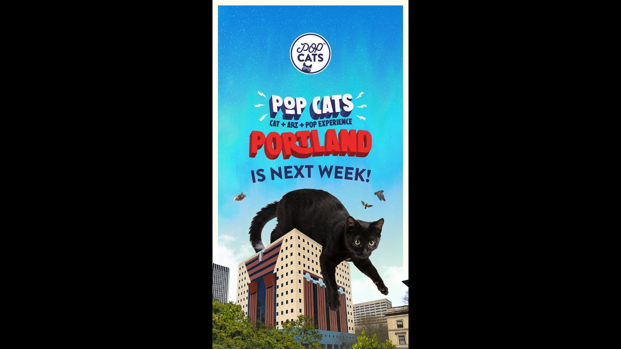 POP Cats Portland is NEXT week!