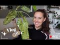 Alerte catastrophe alocasia  vlog 70 