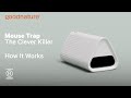 Goodnature Mouse Trap - How It Works