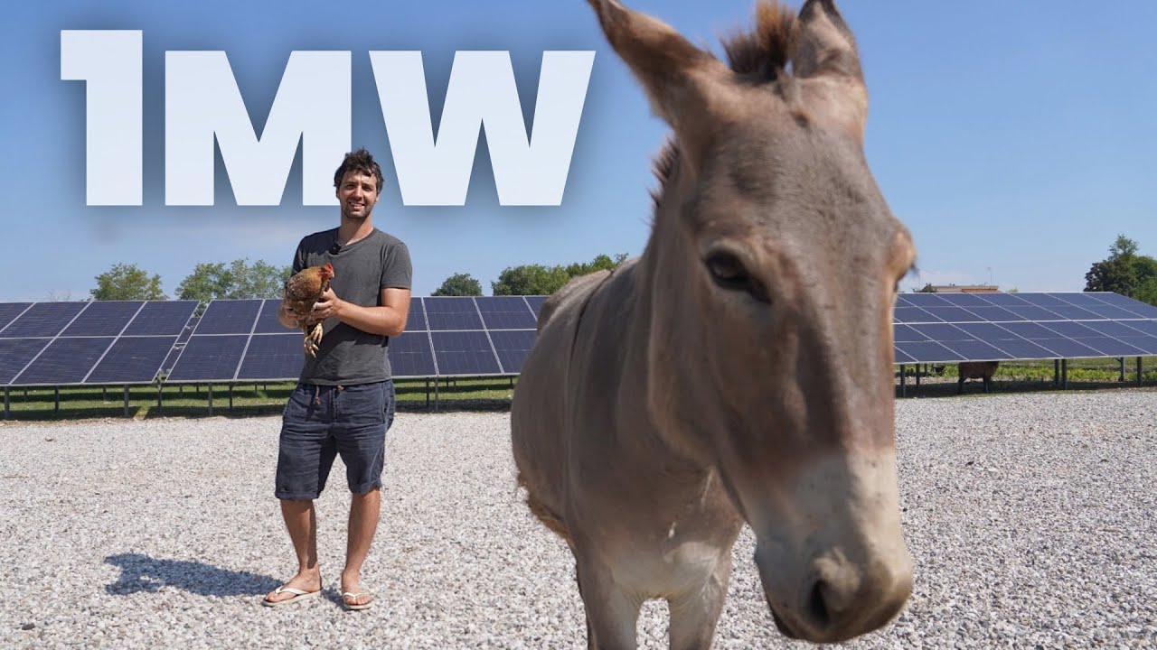 Una fattoria piena di energia