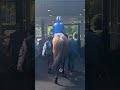 A shoutout to the Jockeys of Ascot 🗣 | #shorts