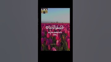 وعلى الله فليتوكل المؤمنون #احمد_العجمي #قران_كريم #تلاوةخاشعة