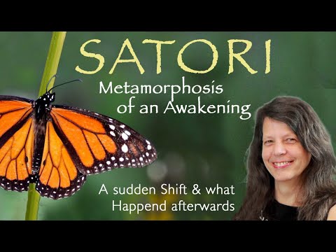 Spiritueller Film: Satori — Metamorphosis of an Awakening