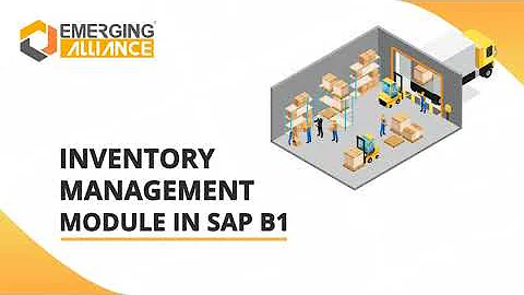 INVENTORY MANAGEMENT MODULE IN SAP BUSINESS ONE