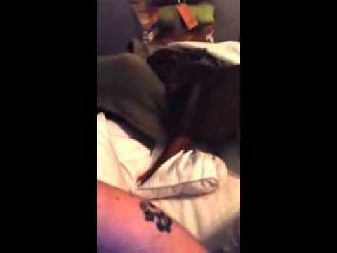 Pillow Game