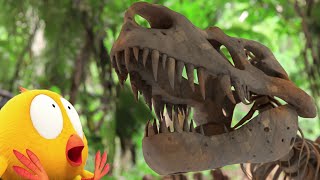 Где Чики? 🐥 Chicky Новая Серия! | Динозавр 🦖 Сборник Мультфильмов На Русском Языке