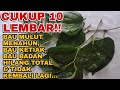 CUKUP 10 LEMBAR! BAU MULUT MENAHUN,BAU KETIAK & BAU SELURUH BADAN HILANG TOTAL!