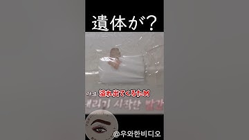 壁から血が溢れ出た理由 #shortvideo #衝撃の事実 #雑学