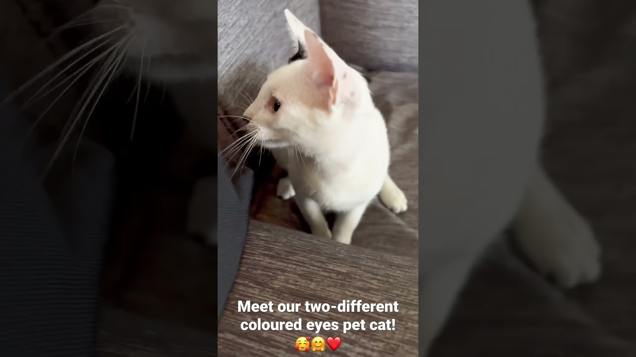 Playtime!!😁🥰❤️ 