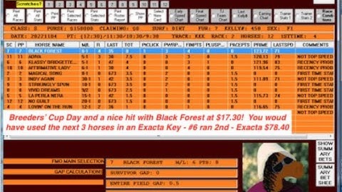 The For Maidens Only Horse Racing Software Program