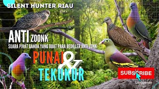 SUARA PIKAT PUNAI DAN TEKUKUR 100% AMPUH @Tamjaya_Hunter #suarapikat