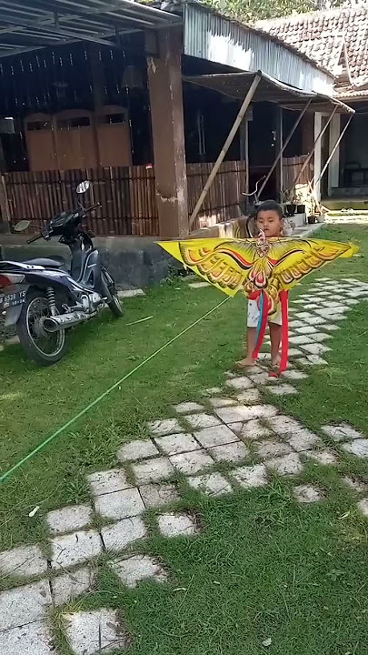 Layangan burung elang #shorts #subscribe #shortvideo #layangannaga #layanganputus @layanganyk