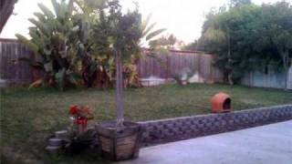 2247 Flintridge Drive, San Diego, CA 92139