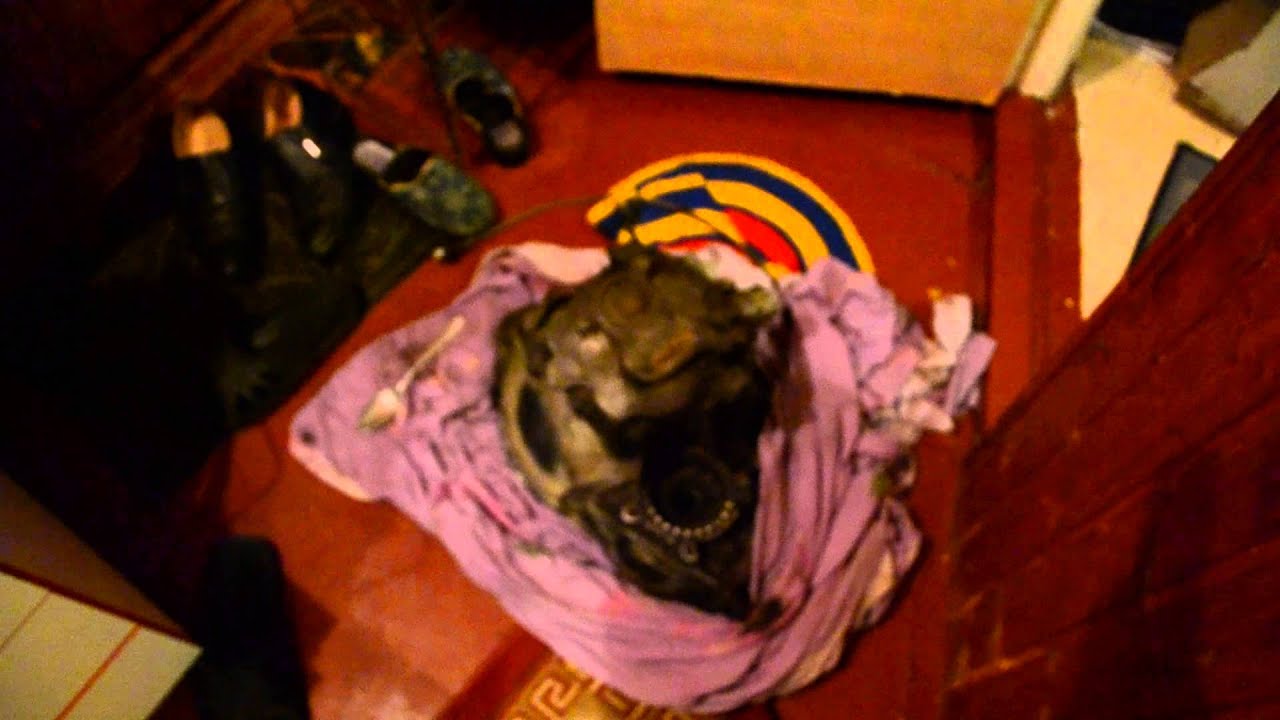 Где посмотреть передаточное число на опелевских кпп.