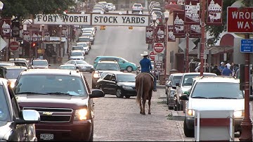 Valley View Ranch - Mousey Legacy - traffic 1