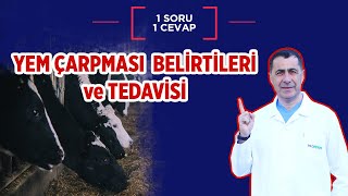 Yem çarpması belirtileri ve tedavisi Resimi