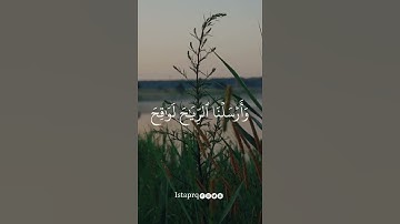 وإن من شيء إلا عندنا خزائنه وما ننزله إلا بقدر معلوم | سورة الحجر | بدر التركي
