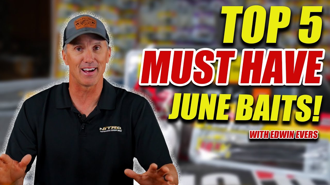 Top 5 Must Have Fishing Baits for June 2025 (Catch More Fish!)